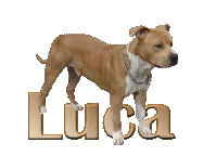 Luca name graphics
