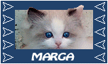 Marga name graphics