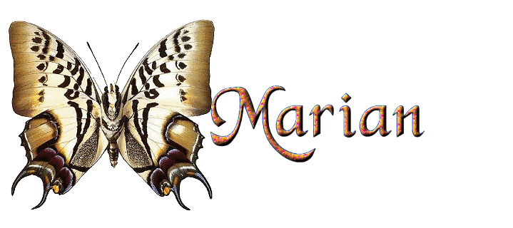 Marian name graphics