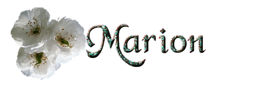 Marion name graphics