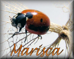 Marisca name graphics