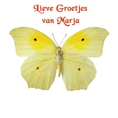 Marja name graphics