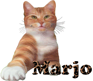 Marjo name graphics