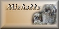 Michelle name graphics