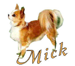 Mick name graphics