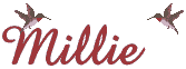 Millie name graphics