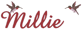 Millie name graphics
