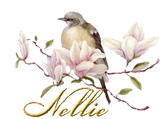 Nellie name graphics