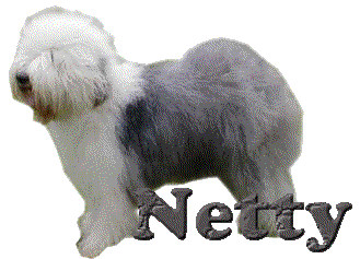 Netty name graphics