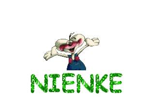 Nienke name graphics