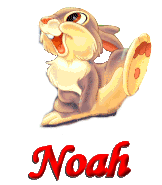 Noah name graphics