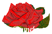 Pamela name graphics