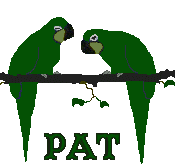 Pat name graphics