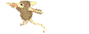 Patty name graphics
