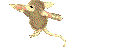 Paula name graphics