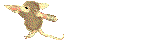 Penny name graphics