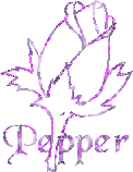 Pepper name graphics