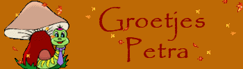 Petra name graphics