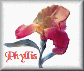 Phyllis name graphics