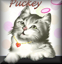 Puckey name graphics