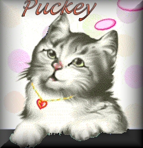 Puckey