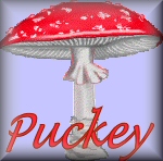 Puckey name graphics