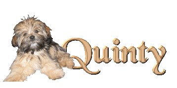 Quinty name graphics