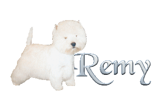 Remy name graphics