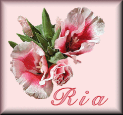 Ria name graphics