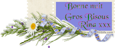 Rina name graphics