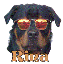 Rina name graphics