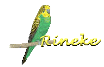 Rineke name graphics