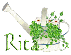 Rita name graphics