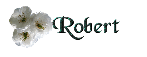 Robert name graphics