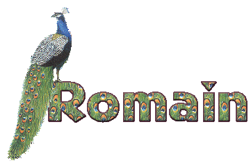Romain name graphics
