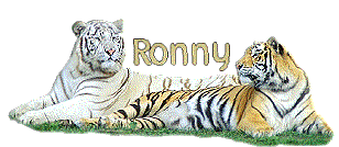 Ronny name graphics