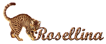 Rosellina name graphics