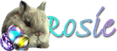 Rosie name graphics