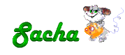 Sacha name graphics