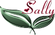 Sally name graphics