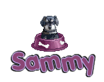 Sammy name graphics