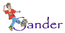 Sander name graphics