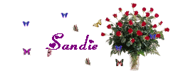 Sandie name graphics