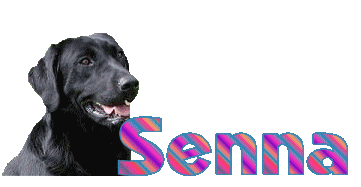 Senna name graphics
