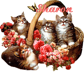 Sharon name graphics