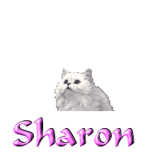 Sharon name graphics