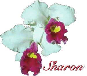 Sharon name graphics