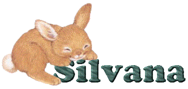 Silvana name graphics