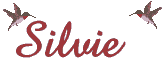 Silvie name graphics
