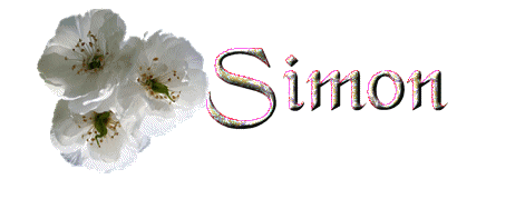 Simon name graphics